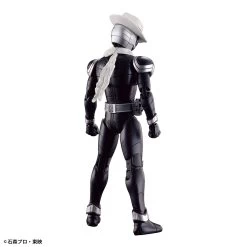Bandai Kamen Rider Figure-rise Standard Kamen Rider Skull Model Kit -Model handmade 191 5085 o 1gd2jle3vll71i0q3ch1m219qf3g