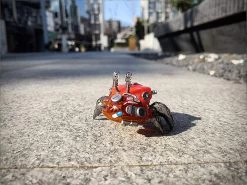 Aquaculture Tank Fiddler Crab Model Kit -Model handmade 8b20f84e 6918 44b8 aa6e 2f48ca7f7ee3