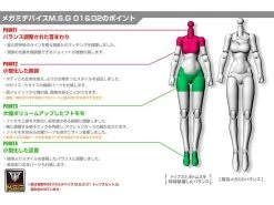 Megami Device M.S.G. 02 Bottom Set Skin Color A Model Kit -Model handmade e886b76c 3b21 41cc a751 c4bf336bafdc